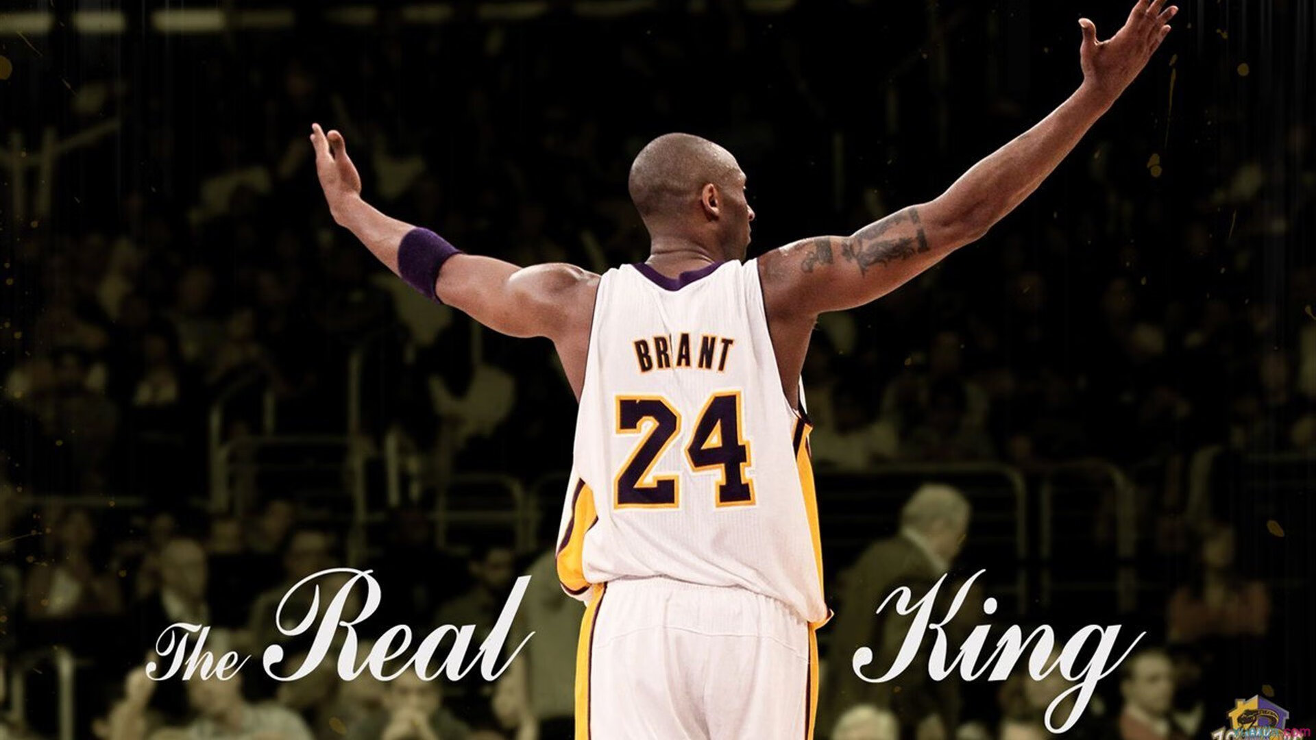 篮网签约新援,补强阵容,篮网队新援